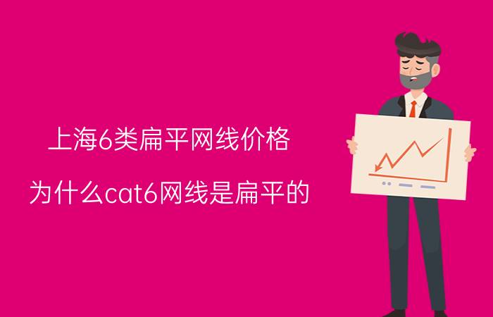 上海6类扁平网线价格 为什么cat6网线是扁平的？